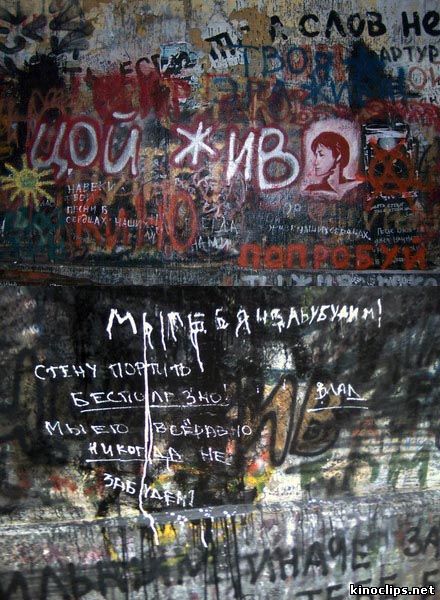 stena_coja_2011 онлайн