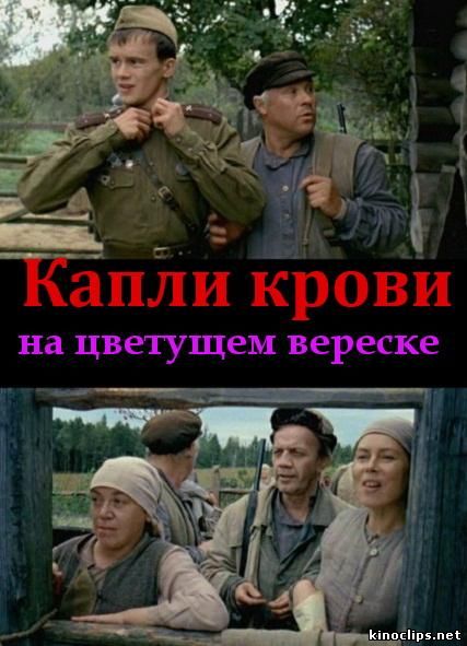Капли крови на цветущем вереске онлайн