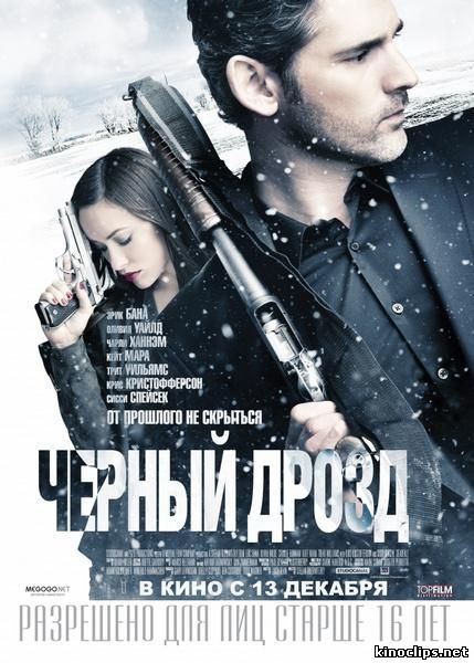 Черный дрозд онлайн